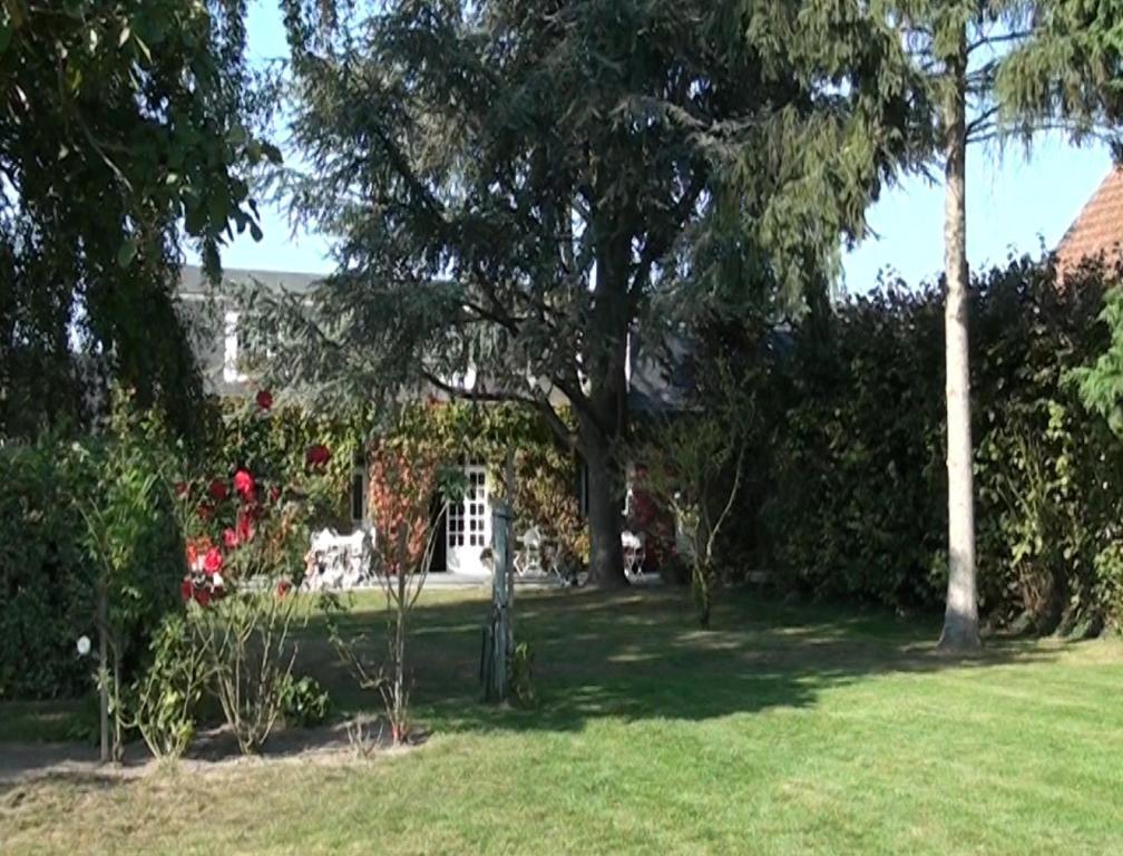 Hotel Le Petit Pont Moncé-en-Belin Exteriér fotografie